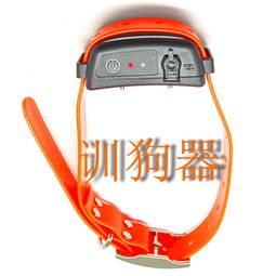 遙控充電防水訓(xùn)狗器 現(xiàn)代寵物訓(xùn)練的智能之選