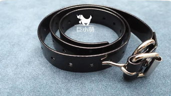 止吠器評(píng)測(cè) 代言狗“以身試法”，美女員工電擊自虐引爭(zhēng)議