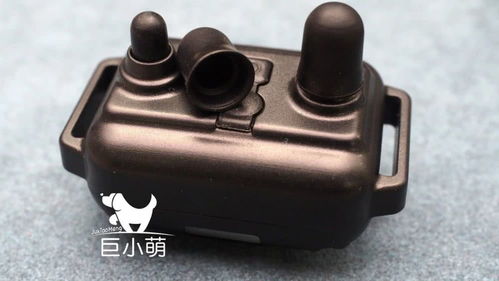 訓(xùn)犬止吠器評(píng)測(cè) 美女電擊親測(cè)，有用但請(qǐng)盡可能不用